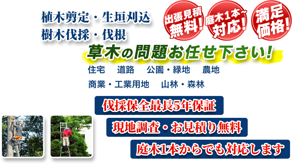 朝霞市エリア即対応!! 出張無料! 庭木1本~対応! 満足価格! 植木剪定・生垣刈込 樹木伐採・伐根 草木の問題お任せ下さい! 住宅 道路 公園・緑地 農地 商業・工業用他 山林・森林 伐採保全最長5年保証 現地調査・お見積り無料 庭木1本からでも対応します